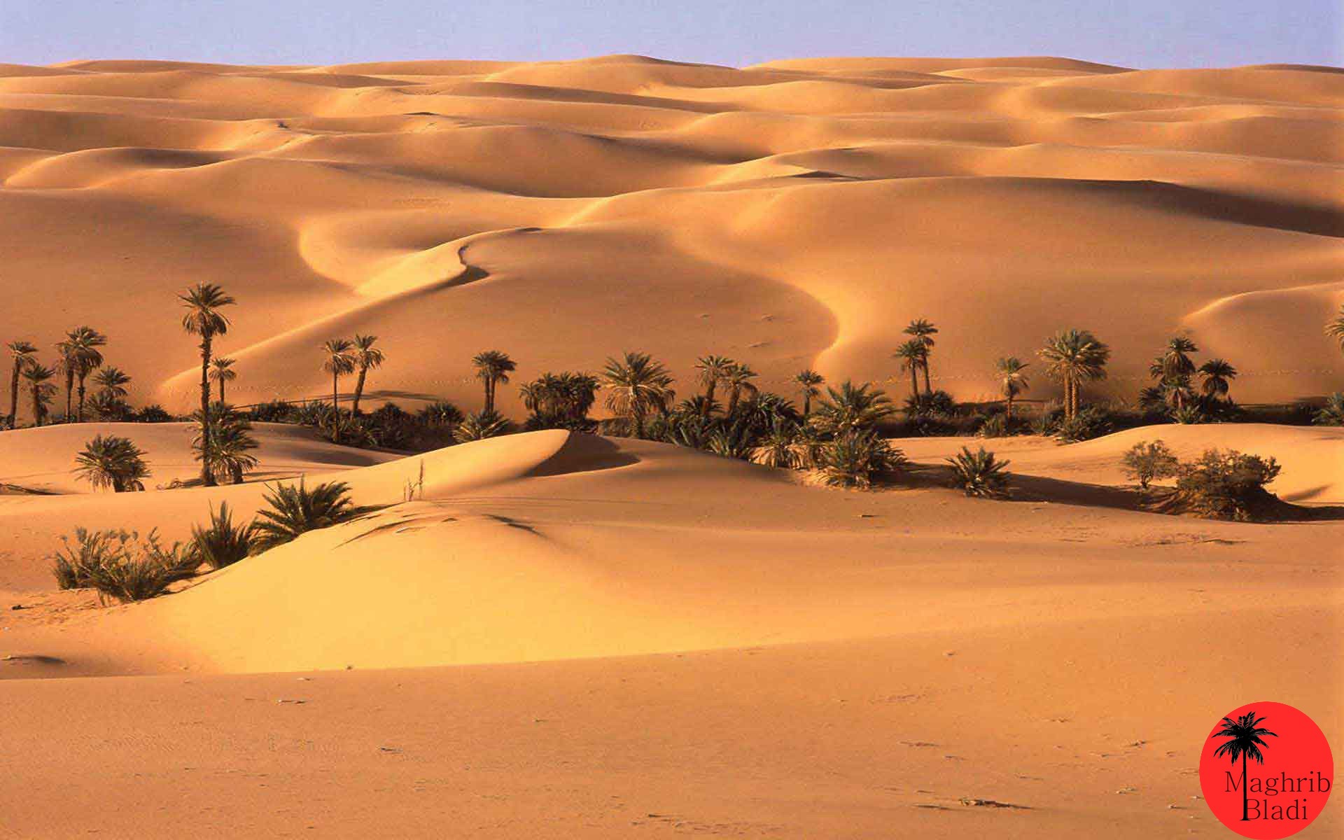 sahara-occidental-paysage